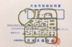 ce0eb287-5fd1-4159-9925-05c4c1220333